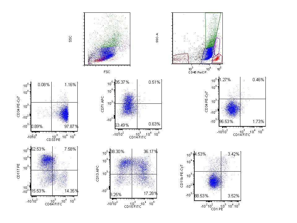 2012 bone marrow flow cytometry